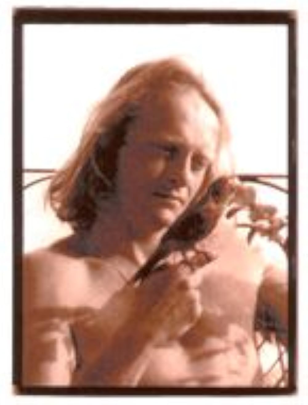 Denis Forest
