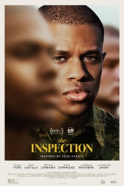 The Inspection  