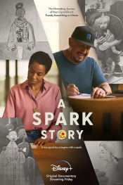 A Spark Story   