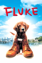 Fluke  