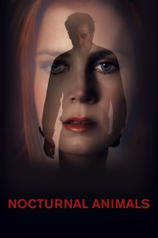 Nocturnal Animals  
