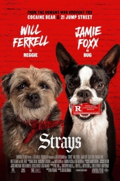Strays  