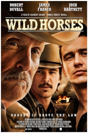 Wild Horses  