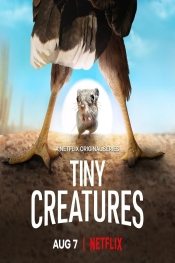 Tiny Creatures 
